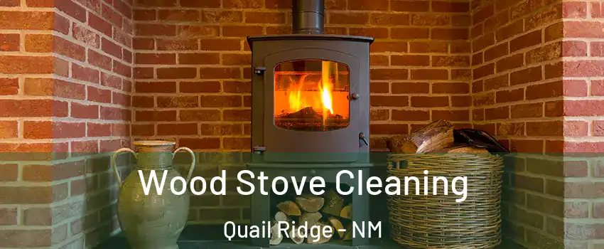 Wood Stove Cleaning Quail Ridge - NM
