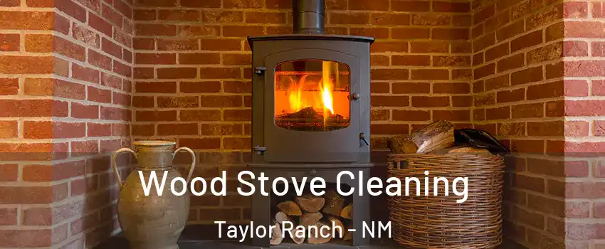 Wood Stove Cleaning Taylor Ranch - NM
