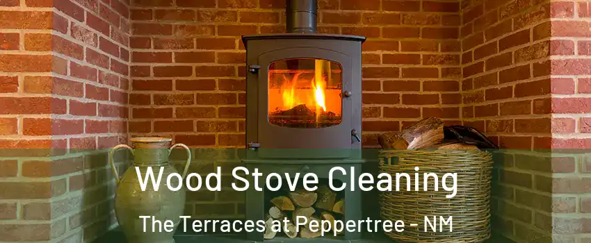 Wood Stove Cleaning The Terraces at Peppertree - NM