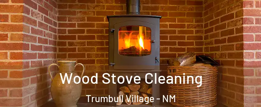 Wood Stove Cleaning Trumbull Village - NM