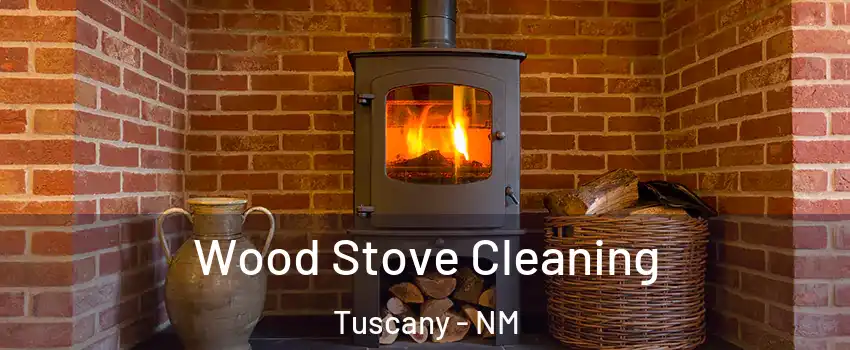 Wood Stove Cleaning Tuscany - NM