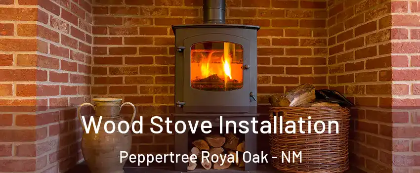 Wood Stove Installation Peppertree Royal Oak - NM