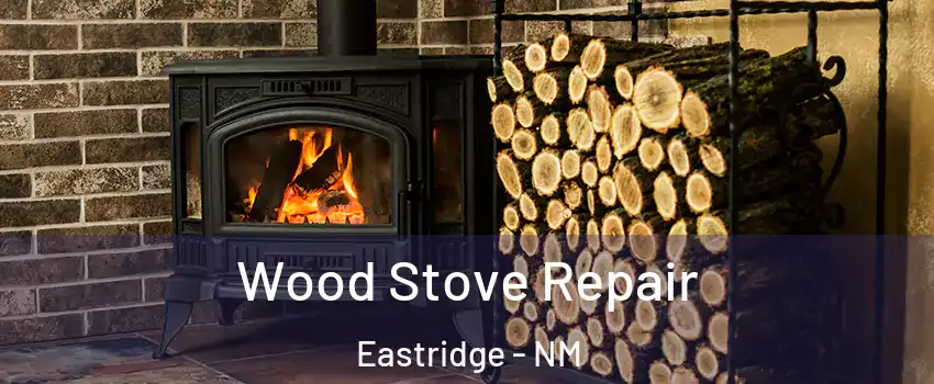 Wood Stove Repair Eastridge - NM