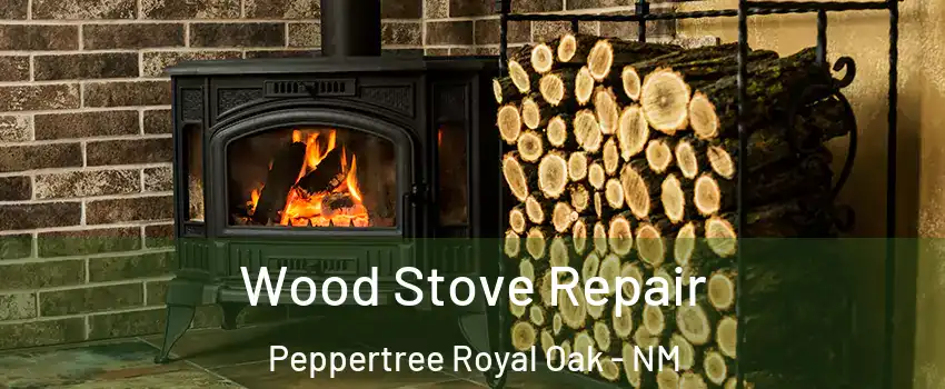 Wood Stove Repair Peppertree Royal Oak - NM