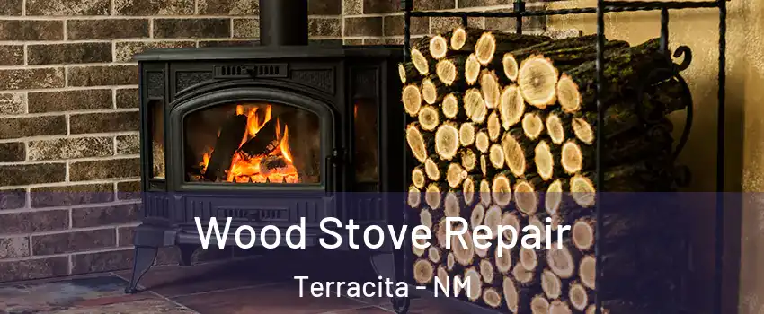 Wood Stove Repair Terracita - NM
