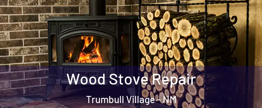 Wood Stove Repair Trumbull Village - NM